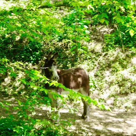 Chateau De La Vallee - East Or West Wing * Grandcourt (Seine-Maritime)