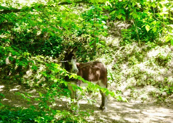Chateau De La Vallee - East Or West Wing * Grandcourt (Seine-Maritime)